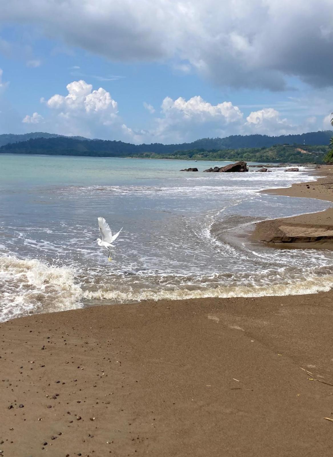 Corcovado & Drake Inn Drakes Bay Εξωτερικό φωτογραφία
