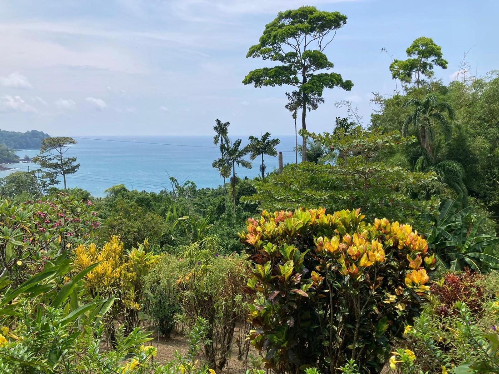 Corcovado & Drake Inn Drakes Bay Εξωτερικό φωτογραφία